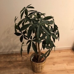家具 インテリア雑貨/小物 置物、オブジェ