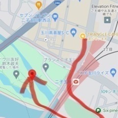 5/11,25（土）二子玉川パークヨガの画像