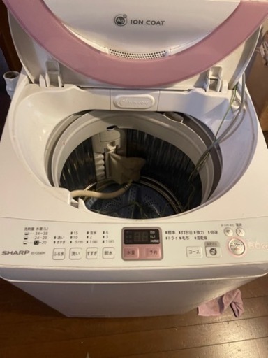 家電 生活家電 洗濯機