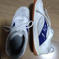 大原野中学校の体育館シューズの画像