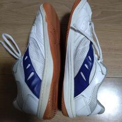 大原野中学校の体育館シューズの画像