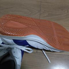 大原野中学校の体育館シューズの画像