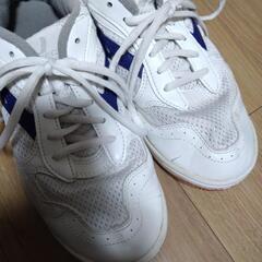 大原野中学校の体育館シューズの画像