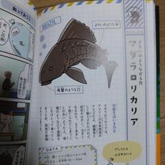 ゆるゆる外来生物図鑑　加藤英明監修の画像