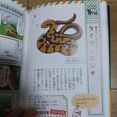 ゆるゆる外来生物図鑑　加藤英明監修の画像