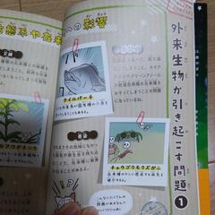 ゆるゆる外来生物図鑑　加藤英明監修の画像