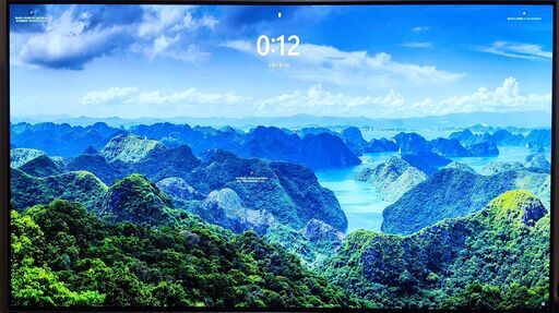 LG 48インチ 有機EL テレビ (oled48cxpja)