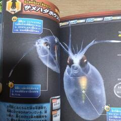 深海生物最驚図鑑の画像
