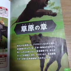危険生物大百科の画像