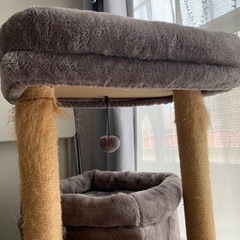 【美品】キャットタワー🐱の画像