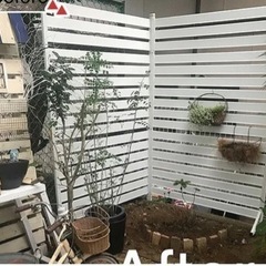 庭用オレフェンス白(大) の画像