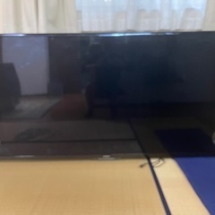 家電 テレビ 液晶テレビ