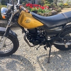 値下げします　バイク TW200の画像
