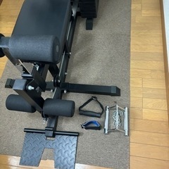 ファイティングロードDXホームジム100の画像