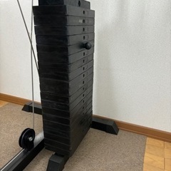 ファイティングロードDXホームジム100の画像