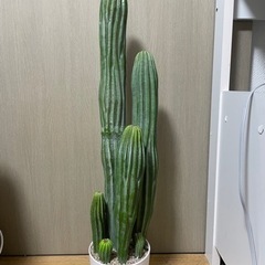 生活雑貨 家庭用品 ガーデニング