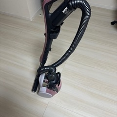 家電 生活家電 掃除機