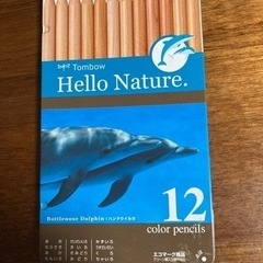 　Tombow（トンボ）　12色　色鉛筆の画像