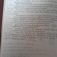 Margery Allingham Traitor’s purseの画像