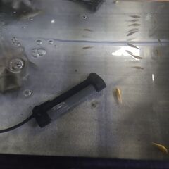 コトブキ45㎝規格水槽+熱帯魚いろいろ