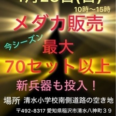 メダカ販売会！　最大級70セット！