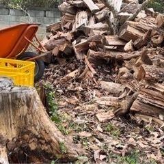 薪(約30〜50センチ)  受付停止中