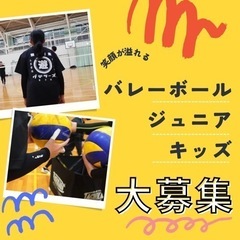 富士市でバレーボールやりたい方大募集 🏐
