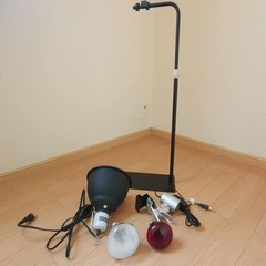 ☆☆☆新品でペットショップで買うと40000円相当、めっちゃお得です！！ジェックスの爬虫類向きのゲージ　グラステラリウム4545 爬虫類が今すぐ飼える中古のセットの画像