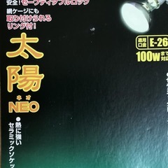 ☆☆☆新品でペットショップで買うと40000円相当、めっちゃお得です！！ジェックスの爬虫類向きのゲージ　グラステラリウム4545 爬虫類が今すぐ飼える中古のセットの画像