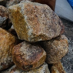 ロックガーデン、ドライガーデン、ガーデニングに！の画像