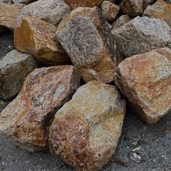 ロックガーデン、ドライガーデン、ガーデニングに！の画像