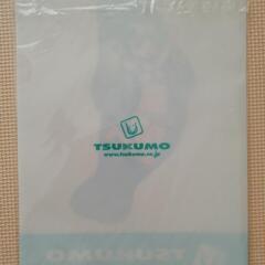 【新品未使用】TSUKUMO ヤマダ電機グループ クリアファイルと下敷きの画像