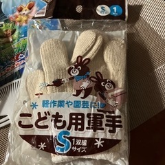 子供用軍手ポケモンうちわ２枚セットの画像
