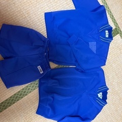 小学校体操服