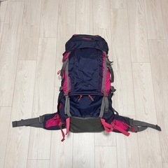Colemanコールマン  Mt.Trek 45 short ネイビーの画像