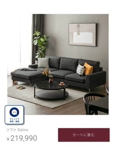 破格‼️関東圏内ならOK‼️ ARMONIA   Salno  カウチソファ