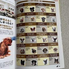 愛犬が今よりもっと賢くなる育て方　　雑誌の画像