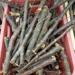 籠盛り乾燥済の桜枝類 桜枝 小枝 薪 焚き火 ソロキャンプ 七輪 テントサウナ 焚き火の画像