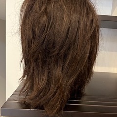 美容学生　美容師　モデルウィッグ(カットウィッグ)の画像