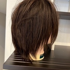 美容学生　美容師　モデルウィッグ(カットウィッグ)の画像