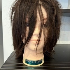美容学生　美容師　モデルウィッグ(カットウィッグ)