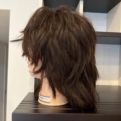 美容学生　美容師　モデルウィッグ(カットウィッグ)の画像