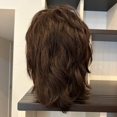 美容学生　美容師　モデルウィッグ(カットウィッグ)の画像