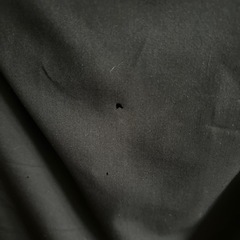 服/ファッション スーツ レディースの画像