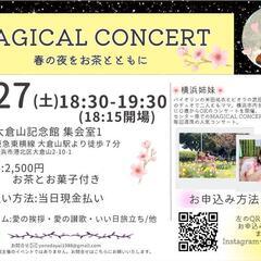 MAGICAL CONCERT 春の夜をお茶とともに