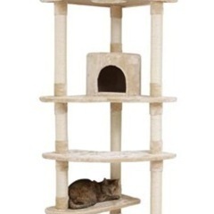 キャットタワー　大型　⭐︎お話中です、の画像