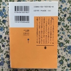 夜中の薔薇の画像