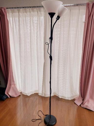 家具 照明器具