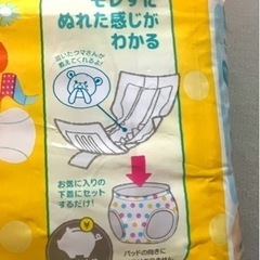 トイレトレーニング  パッド 男女兼用の画像