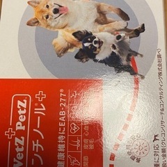 小型犬用品の画像